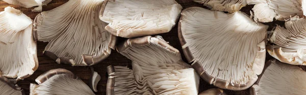 Close up view of textured mushrooms in pile, panoramic shot — Stock Photo