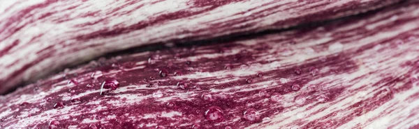 Panoramic shot of fresh red cabbage leaf with water drops — Stock Photo