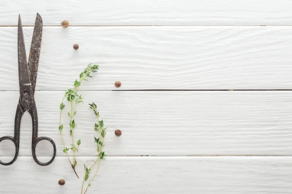 Vue du dessus du thym vert près des ciseaux rétro et du poivre noir sur la table en bois blanc — Photo de stock