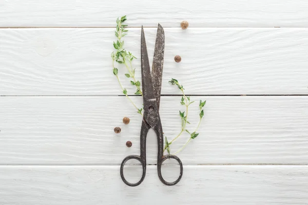 Top view of green thyme, retro scissors and black pepper on white wooden table — Stock Photo