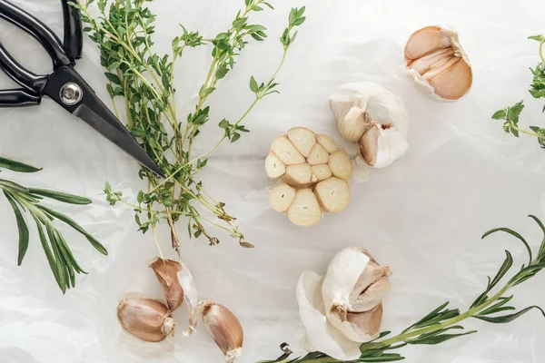 Top view of garlic cloves, scissors, rosemary and thyme on white paper background — Stock Photo