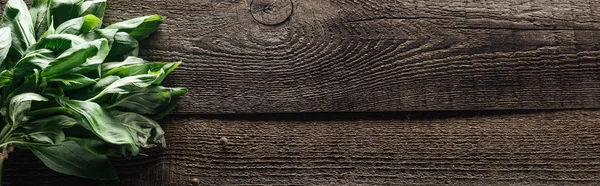 Plano panorámico de albahaca verde y pimienta negra sobre mesa de madera - foto de stock