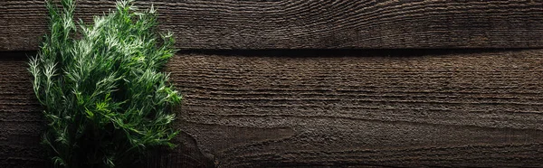 Top view of green dill on wooden weathered table with copy space, panoramic shot — Stock Photo