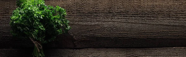 Top view of green parsley on wooden weathered table with copy space, panoramic shot — Stock Photo