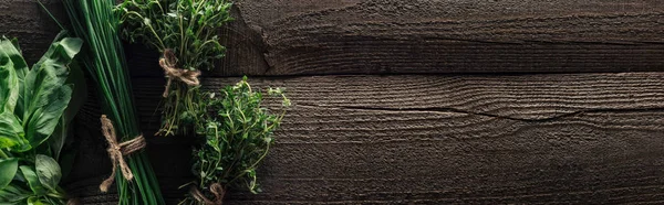 Top view of green onion, thyme and basil on wooden weathered table with copy space, panoramic shot — Stock Photo