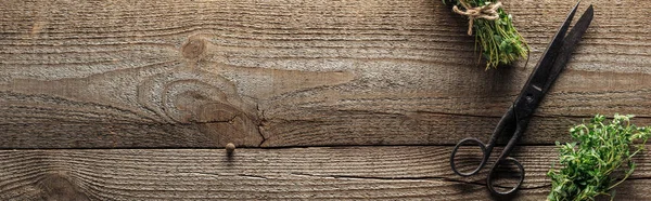 Vintage-Schere in der Nähe von grünem Thymian auf braunem Holztisch, Panoramaaufnahme — Stockfoto