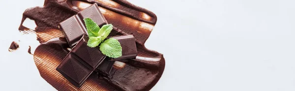 Panoramic shot of pieces of chocolate bar and fresh mint on liquid chocolate — Stock Photo