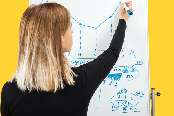 Back view of businesswoman drawing graphics and diagrams on white office board — Stock Photo