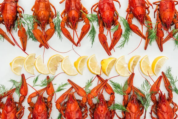 Vue de dessus des homards rouges, tranches de citron et herbes vertes sur fond blanc — Photo de stock