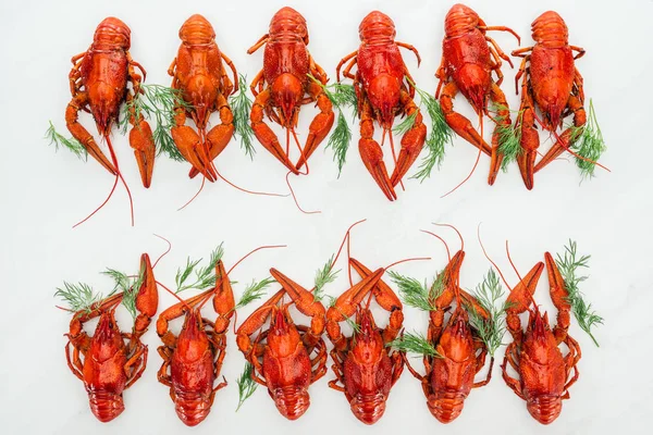 Vue de dessus des homards rouges et des troupeaux verts sur fond blanc — Photo de stock