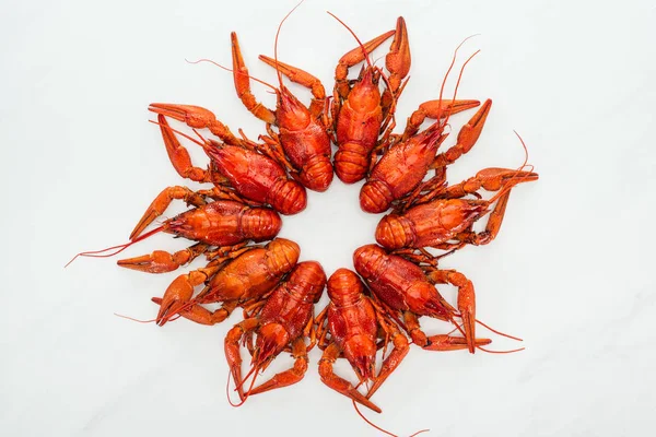 Top view of red lobsters on white background — Stock Photo