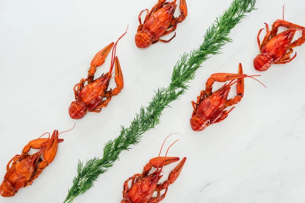 Draufsicht auf rote Hummer und grüne Kräuter auf weißem Hintergrund — Stockfoto