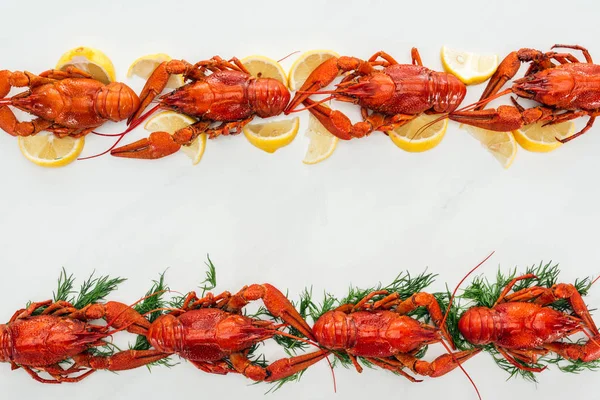 Top view of red lobsters on lemon slices and green herbs on white background — Stock Photo