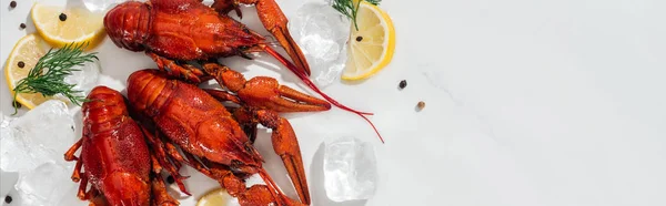 Plan panoramique de homards rouges, poivrons, tranches de citron et herbes vertes avec glaçons sur fond blanc — Photo de stock