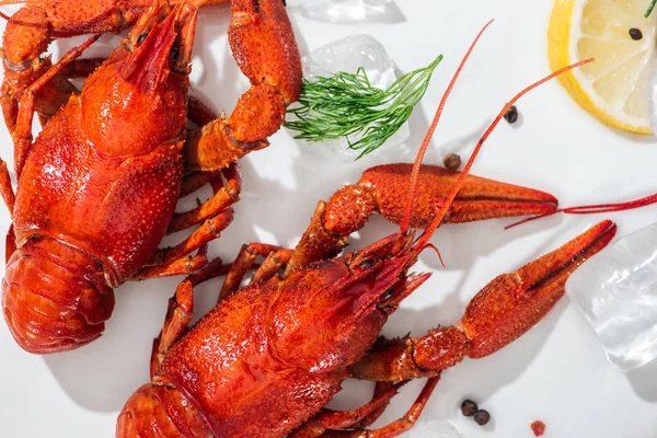 Top view of red lobsters, pepper, lemon slice and green herb on white background — Stock Photo