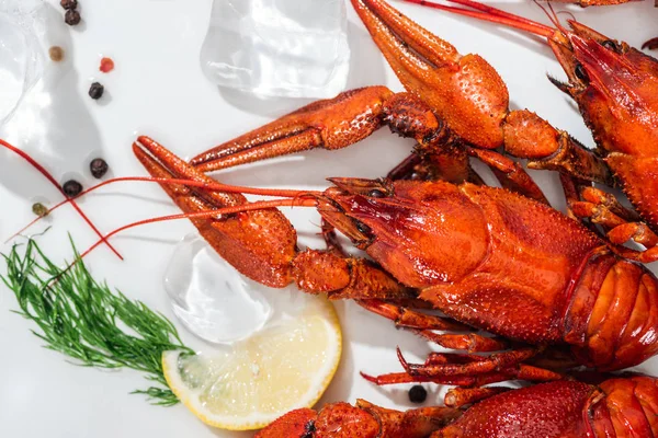 Top view of red lobsters, pepper, lemon slice and green herb on white background — Stock Photo