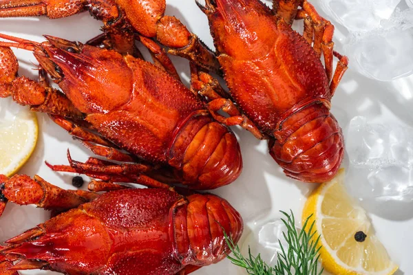 Vue de dessus des homards rouges, du poivre, des tranches de citron et de l'herbe verte sur fond blanc — Photo de stock