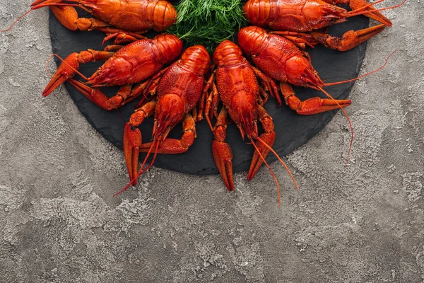 Top view of black plate with red lobsters and green herbs on grey textured surface — Stock Photo