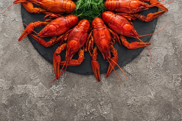 Vue de dessus de la plaque noire avec des homards rouges et des herbes vertes sur la surface texturée grise — Photo de stock