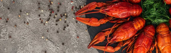 Panoramic shot of black plate with red lobsters, peppers and green herbs on grey textured surface — Stock Photo