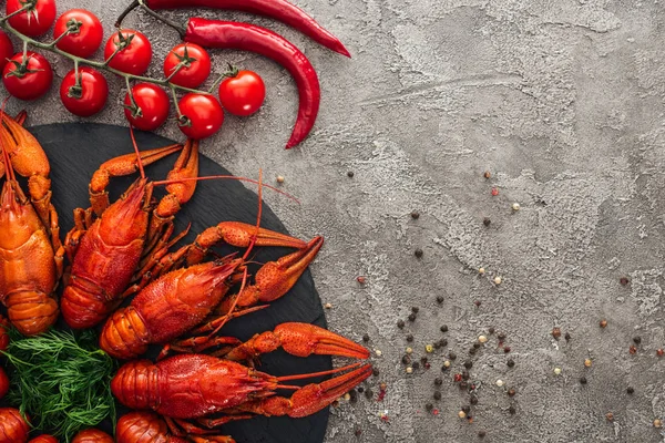 Draufsicht auf schwarzen Teller mit roten Hummern, grünen Kräutern in der Nähe von Tomaten und rotem Pfeffer auf grau strukturierter Oberfläche — Stockfoto