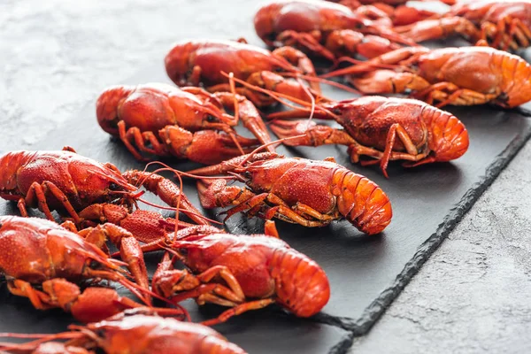 Selective focus of black plate with red lobsters on grey textured surface — Stock Photo