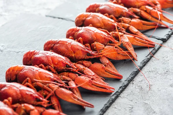 Selektiver Fokus der schwarzen Platte mit roten Hummern auf grau strukturierter Oberfläche — Stockfoto