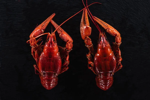 Top view of red lobsters on black surface — Stock Photo