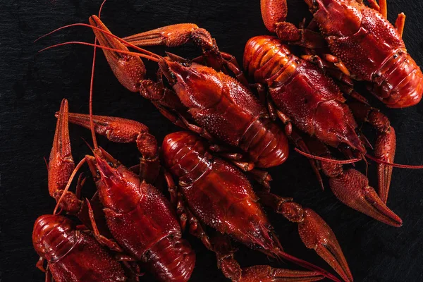 Vue de dessus des homards rouges sur la surface noire — Photo de stock