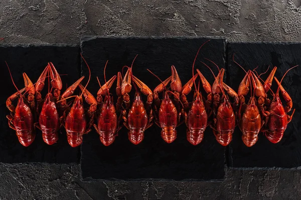 Vista superior da placa preta com lagostas vermelhas na superfície texturizada cinza — Fotografia de Stock
