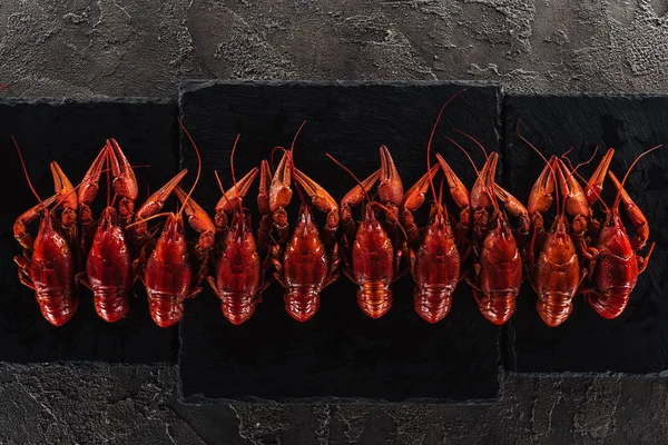 Vue de dessus de la plaque noire avec homards rouges sur surface grise texturée — Photo de stock