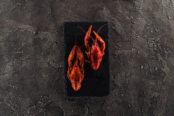 Vue de dessus de la plaque noire avec homards rouges sur surface grise texturée — Photo de stock