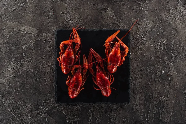 Top view of black plate with red lobsters on grey textured surface — Stock Photo