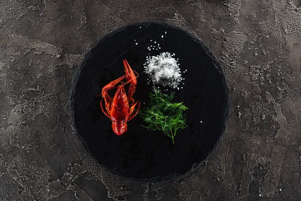 Top view of black plate with red lobsters, white salt and green herbs on grey textured surface — Stock Photo