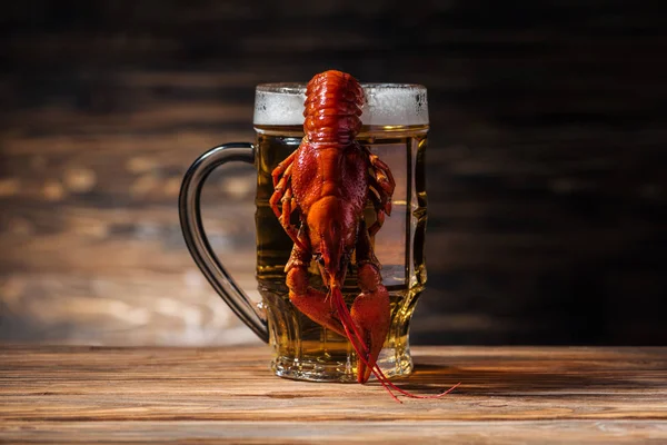 Vetro con birra e aragosta rossa su superficie di legno — Foto stock