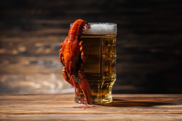 Glas mit Bier und rotem Hummer auf Holzoberfläche — Stockfoto