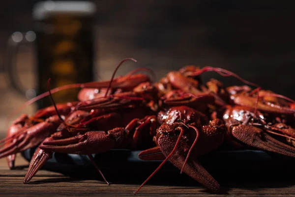 Foco seletivo de lagostas vermelhas na superfície de madeira e vidro com cerveja no fundo — Fotografia de Stock