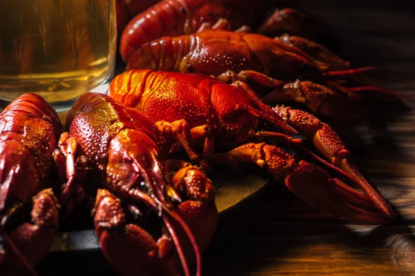 Fuoco selettivo di piatto con aragoste rosse e vetro di birra su superficie di legno — Foto stock