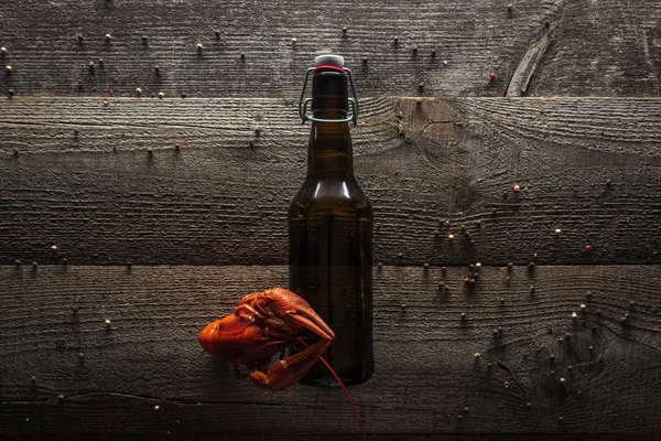 Top view of red lobster and bottle with beer on wooden surface — Stock Photo