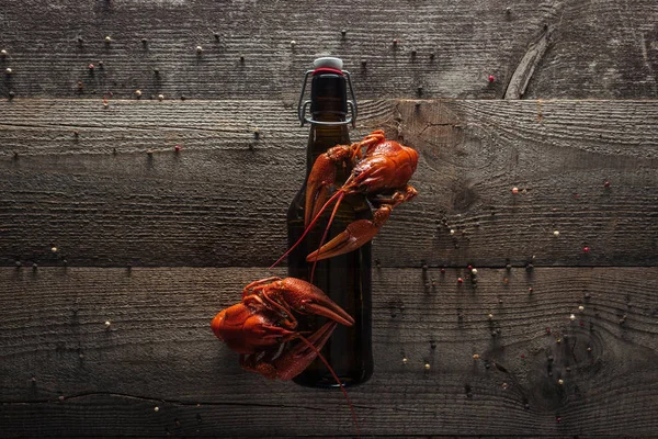 Vista superior de lagostas vermelhas e garrafa com cerveja na superfície de madeira — Fotografia de Stock