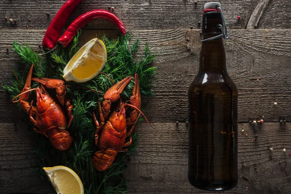 Vista dall'alto di aragoste rosse, fette di limone, aneto, pepe e bottiglia con birra sulla superficie di legno — Foto stock