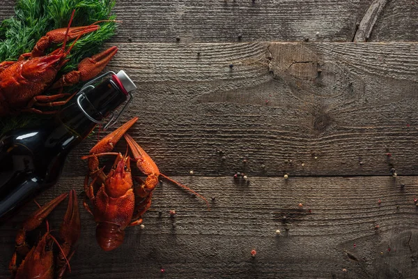 Vista superior de langostas rojas, eneldo y botella con cerveza en superficie de madera - foto de stock