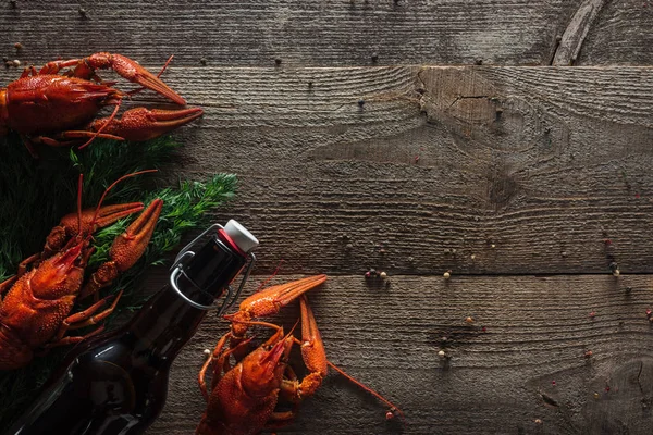 Vista superior de lagostas vermelhas, endro e garrafa com cerveja na superfície de madeira — Fotografia de Stock