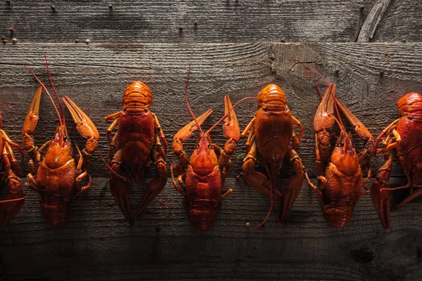 Vue de dessus des homards rouges sur la surface en bois — Photo de stock