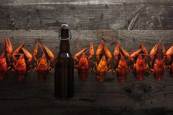 Vista superior de lagostas vermelhas e garrafa de vidro com cerveja na superfície de madeira — Fotografia de Stock