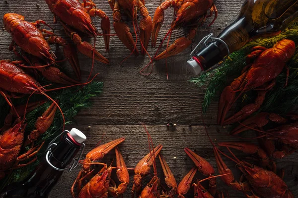 Vue de dessus des homards rouges, de l'aneth et des bouteilles en verre avec bière sur la surface en bois — Photo de stock