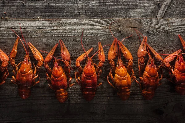 Vue de dessus des homards rouges sur la surface en bois — Photo de stock