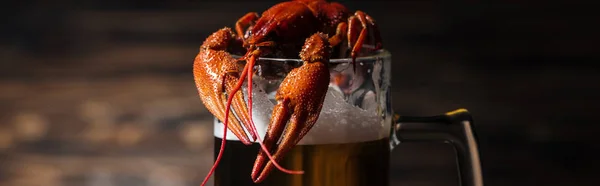 Panoramic shot of red lobsters on glass with beer at wooden surface — Stock Photo