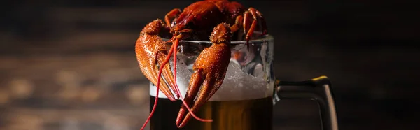 Prise de vue panoramique de homards rouges sur verre avec bière à la surface en bois — Photo de stock