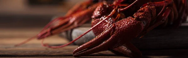 Prise de vue panoramique de homards rouges sur une surface en bois — Photo de stock